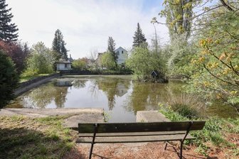 Feuerlöschteich bereitet Gemeinderäten Kopfzerbrechen - Sieht idyllisch aus, ist aber sanierungsbedürftig: der Feuerlöschteich an der Unteren Hauptstraße in Mühlau. 