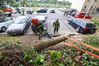 Feuerwehr am Bahnhof in Glauchau gefordert: Baum landet auf Audi - Die Feuerwehr war auf dem Parkplatz am Bahnhof in Glauchau im Einsatz.