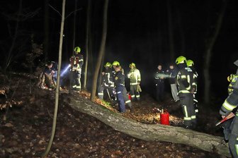 Feuerwehr an Brauereistraße in Zwickau im Einsatz: Helfer erreichen erst nach einer Wanderung den Brandort - Kräfte von Polizei und Feuerwehr waren im Waldgebiet an der Brauereistraße in Zwickau im Einsatz.