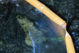Feuerwehr fängt Fettfilm auf Fluss ein - Ein dünner Ölfilm überzog das Wasser der Mittweida.