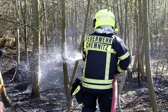 Feuerwehr löscht Brand in Adelsberger Wald -