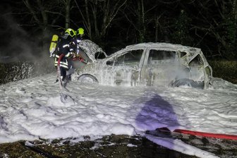 Der Brand wurde von der Feuerwehr mit Schaum gelöscht.