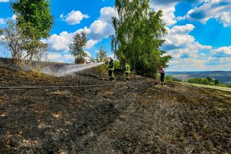 Feuerwehr löscht Feldbrand -