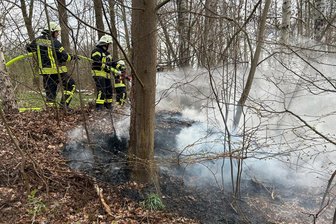 Feuerwehr löscht Waldbrand bei Penig: „Es brennt in Amerika“ - Die Feuerwehr löschte am Samstag einen Waldbrand bei Penig.
