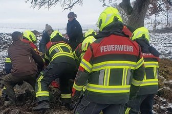 Feuerwehr muss Pferd vom Eis holen - Am Montag mussten die Feuerwehrleute in Garnsdorf einem Pferd auf die Beine helfen. Das Tier lag auf eisigem Untergrund. 