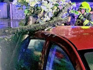 Feuerwehr Reichenbach im Dauereinsatz: Ast kracht auf Autodach - Ein dicker Ast einer Linde stürzte in der Sturmnacht von Donnerstag auf Freitag auf einen Dacia in Reichenbach.