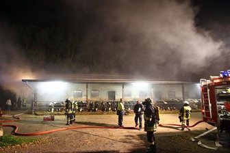 Feuerwehr rettet 80 Rinder aus brennendem Stall - Insgesamt waren Feuerwehrkräfte aus fünf Ortschaften im Einsatz, um den Brand zu löschen.