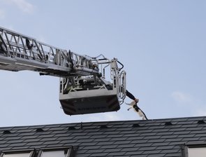 Feuerwehr rettet Katze von Hausdach -