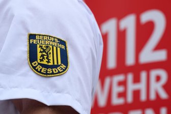 Feuerwehr rettet Turmfalke von Kirchendach - Bei einem tierischen Einsatz ist die Dresdner Feuerwehr einem Turmfalken in luftiger Höhe zu Hilfe geeilt. (Symbolbild)