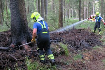 Feuerwehr rückt zu Waldbrand in Carlsfeld aus - Kameraden der Feuerwehr löschten am Mittwoch einen Waldbrand in Carlsfeld. 