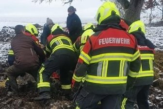 Feuerwehr rückt zur Rettung von Pferd aus - Die Feuerwehr musste in Garnsdorf einem Pferd auf vereistem Boden auf die Beine helfen. 