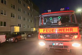 Feuerwehreinsatz in Lugau: Katze sitzt in Lüftungsschacht fest. - Zur Rettung einer Katze musste die Feuerwehr in Lugau am Sonntagabend ausrücken.