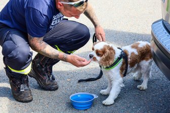 Feuerwehreinsatz mit Happy End: Drei Hunde im Erzgebirge vor Hitzetod bewahrt - Feuerwehrmann Kay-Patrick Georgi versorgt einen der drei geretteten Cocker Spaniel nach der Rettungsaktion mit Wasser.