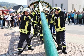 Feuerwehren als Festveranstalter - Um das Aufstellen des neuen Maibaums in Falkenau kümmerte sich die Freiwillige Feuerwehr des Ortes.