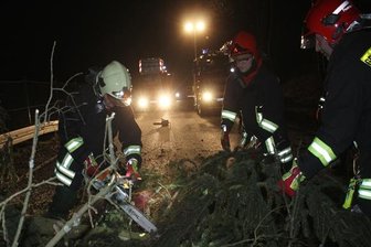 Fichte blockiert B 283 - 