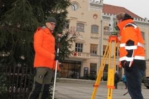 Fichte misst exakt 17,50 Meter -