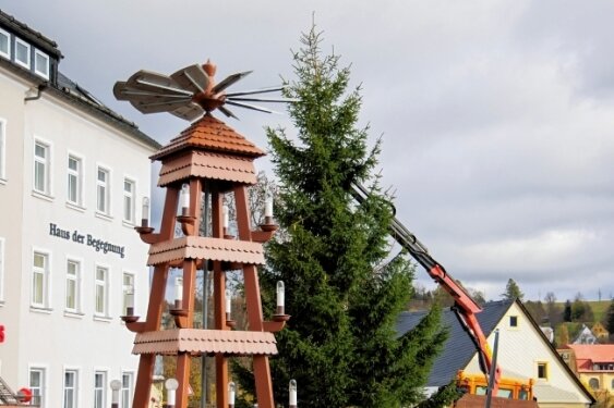 Fichte stammt ganz aus der Nähe - Auch Bärenstein hat jetzt seinen Weihnachtsbaum. 