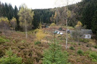 Fichten fallen für Arten-Vielfalt - Der ehemalige Beerheider Skihang (unten die ehemalige Talstation des Liftes) wandelt sich seit der Wende allmählich zu einer Heidelandschaft: Im Schutz der Besenheide gedeiht hier der seltene Keulen-Bärlapp, auch Wacholder wurde gepflanzt. Anflug, etwa Birken, muss regelmäßig entfernt werden. Gegenüber, am Bett der Roten Göltzsch, werden gegenwärtig rund 1000 Fichten gefällt, um Platz für Mischwald zu schaffen.