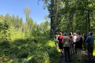 Fichten sterben, Birken kommen – Schweikershain zeigt, wie der Wald der Zukunft wirklich aussieht - In der Kohlung bei Schweikershain hat der Staatsbetrieb Sachsenforst einen informativen Waldspaziergang organisiert, für Waldbesitzer und weitere Interessierte.