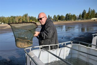 Filzteich-Karpfen sind in Schneeberg in den Herrenteich umgezogen - Beim Abfischen – im Bild Maik Rudolph, der 1. Vorsitzende der Ortsgruppe Aue-Mitte des Angelfischereivereins Aue.