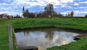 Aus diesem sogenannten Hälterbecken an der Bundesstraße 169 in Greifendorf haben Unbekannte Forellen und Jungkarpfen samt Netzen gestohlen.