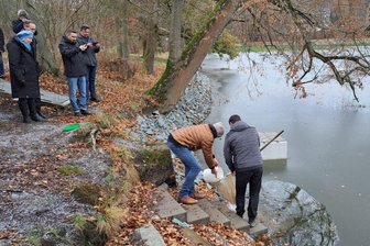 Fische eingesetzt und 76 Bäume am Parksee in Greiz gepflanzt - Erste Fische wurden in den Parksee gesetzt.