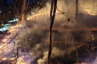 Flächenbrand in Werdau: Flammen bedrohen mehrere Grundstücke - Auf etwa 200 Quadratmetern brannte Ödland oberhalb des Werdauer Stadtparks.