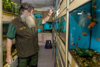 Fleisch für die Mülltonne und Ebbe an der Zapfsäule: Wie die Rodewischer den Stromausfall erlebt haben - Uwe Kunze war vorbereitet. Er konnte die Zeit des Stromausfalls mit einem Akku überbrücken. Das war auch wichtig. Der Inhaber eines Fachgeschäfts für Zoo-, Angel- und Reitsportbedarf muss die Sauerstoffversorgung für 100 Fischbecken mit etwa 5000 Fischen rund um die Uhr sicherstellen.