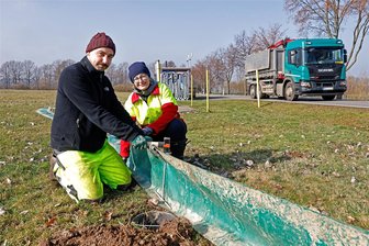 Fleißige Helfer, aber auch neue Gefahren am Amphibienzaun im Landkreis Zwickau - Dennis Klein und Peggy Stöckigt von der Kreisnaturschutzstation beim Aufbau des Amphibienzauns bei Meinsdorf.