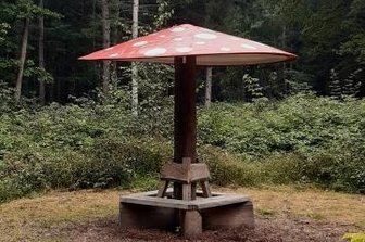 Fliegenpilz im Zellwald erwacht - Dieser Waldpilz lädt im Zellwald wieder zum Verweilen ein. 