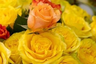Floristinnen sollen vom boomenden Geschäft mit Pflanzen und Blumen profitieren -
