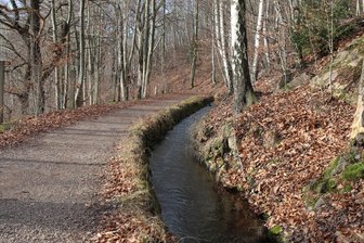 Floßgraben im Erzgebirge zeitweise leer: Jetzt gibt es eine Erklärung – und ein Problem - So sieht er aus, wenn er Wasser führt: der Floßgraben.
