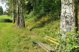 Flussniederung schmeichelt dem Auge - Im wie verwunschen erscheinenden Tal der Kleinen Striegis lässt es sich gut wandern. 