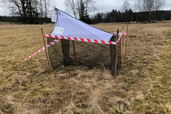Forschungsprojekt am Grünen Band: Warum hier jetzt diese Zelte stehen - Die Fallen am Grünen Band.