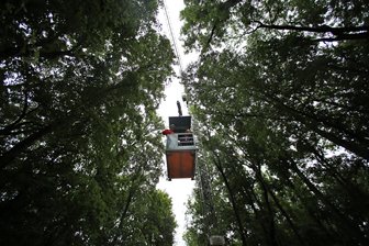 Forschungsstation im Leipziger Auwald beschädigt - Von einem Kran aus erforschen Wissenschaftler seit 17 Jahren den Leipziger Auwald.