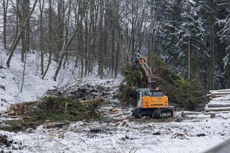 Forst erntet Holz: Loipen bei Johanngeorgenstadt betroffen - Wegen Fällarbeiten werden aktuell Wege bei Johanngeorgenstadt gesperrt.