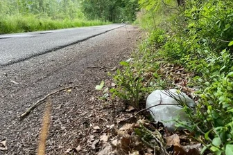 Forst: Nicht nur Windeln landen im Wald - Die Distanz zur Straße lässt durchaus vermuten, dass die Beutel mit den benutzten Windeln aus dem Auto geworfen werden.