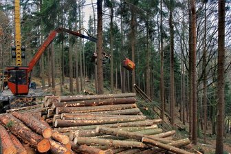 Holztransport