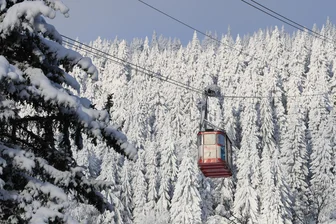 Forstbetrieb im Erzgebirge warnt: Im Wald lauert Gefahr - Schön anzuschauen, aber gefährlich: mit Schnee und Eis behangene Bäume.