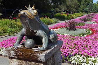 Fotorätsel 1320: Wo sprudelt dieser Frosch? -