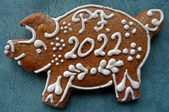 Fotorätsel 1341: Schwein gehabt -