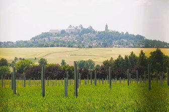 Fotovoltaik vor Schloss Augustusburg: So sieht es auf der Baustelle in Grünberg aus - 