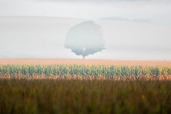 Fotowettbewerb: Das sind die fünf besten Bilder des Sommers im Erzgebirge - Nun geht der Fotowettbewerb von „Freie Presse“ Erzgebirge in die finale Runde: Gefragt sind herbstliche Motive.