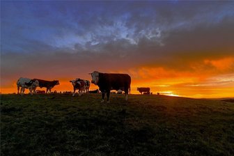 Fotowettbewerb für das Erzgebirge: Die Siegerbilder der Herbstrunde - 