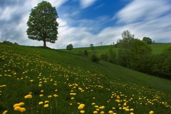 Fotowettbewerb für das Erzgebirge: Farben bilden reizvolle Kontraste - 