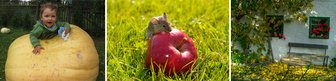 Fotowettbewerb "Gartenlust": Die Sieger stehen fest - 