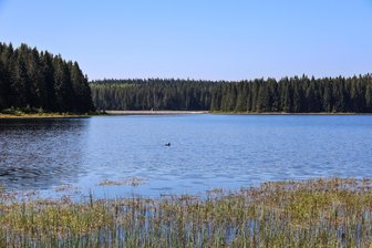 Fotowettbewerb im Erzgebirge: Wald, Wasser, Moor im Fokus - Der Forstbezirk Eibenstock ist der waldreichste im Freistaat Sachsen. Drei Trinkwassertalsperren liegen in seinem Gebiet.