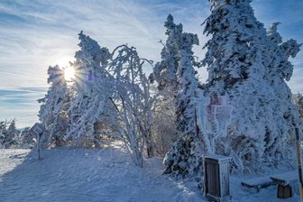 Fotowettbewerb: Oelsnitzer findet Winteridylle auf dem Hirtstein - 