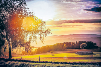 Fotowettbewerb: Wenn sich der Tag verabschiedet - Die schönste Zeit des Tages, wenn die Sonne langsam untergeht", nennt Maik Rolle sein Foto. 