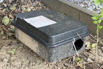 Frankenberg: Hat die Stadt eine Rattenplage? - Rattenköder wie dieser liegen schon lange im Hof hinter dem Rathaus.